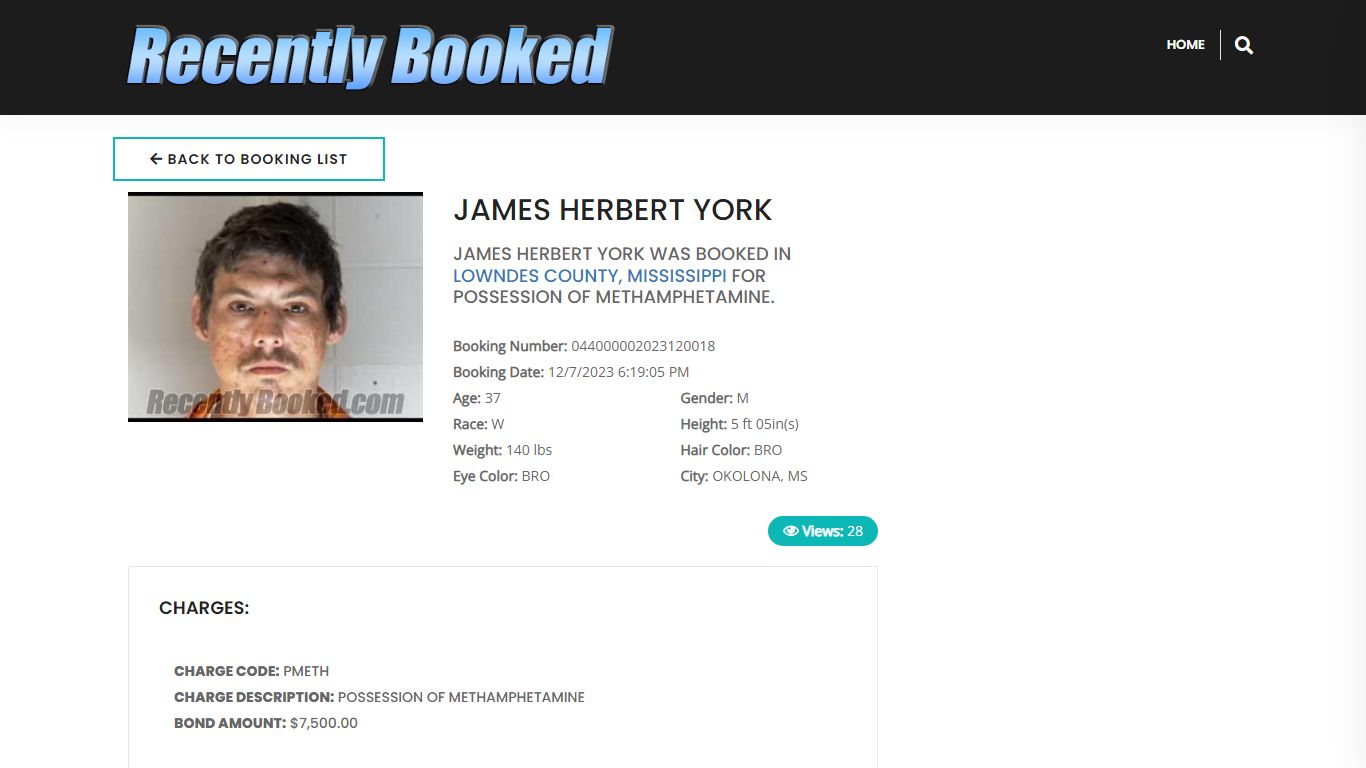 Recent Booking / Mugshot for JAMES HERBERT YORK in Lowndes County ...